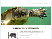 Tablet Screenshot of americanturtles.org